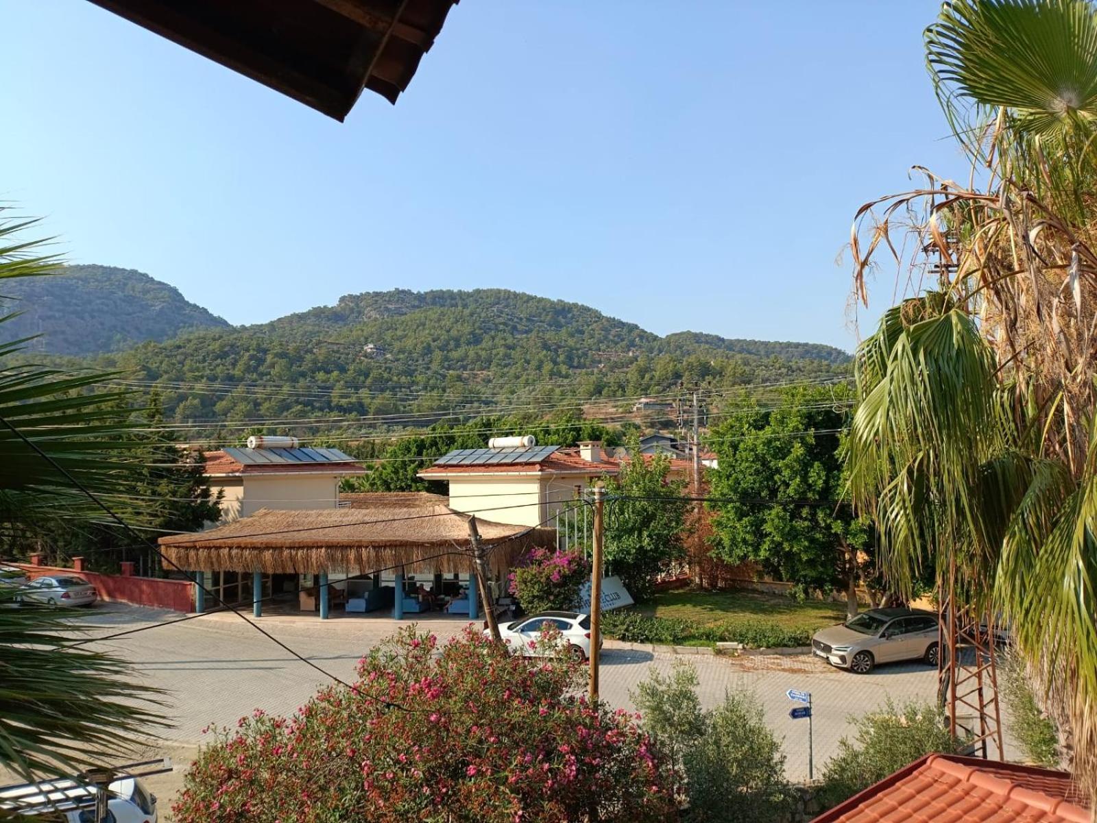 The Palm Apart Sarigerme Εξωτερικό φωτογραφία