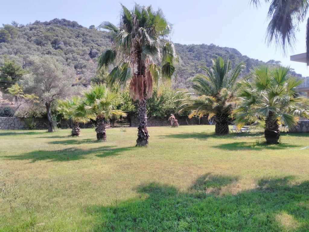 The Palm Apart Sarigerme Εξωτερικό φωτογραφία