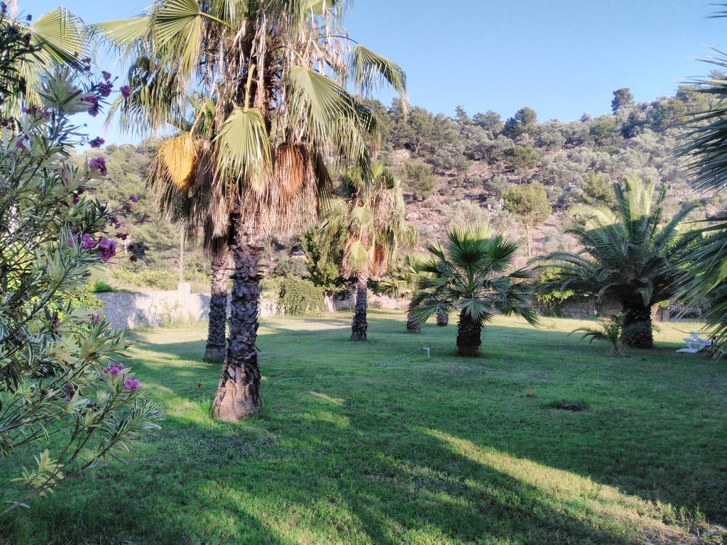 The Palm Apart Sarigerme Εξωτερικό φωτογραφία